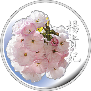 商品詳細 (桜の通り抜け２０２１プルーフ貨幣セット)