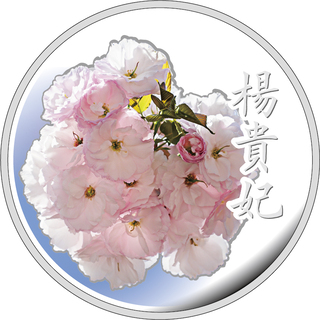 商品詳細 (桜の通り抜け2021プルーフ貨幣セット)