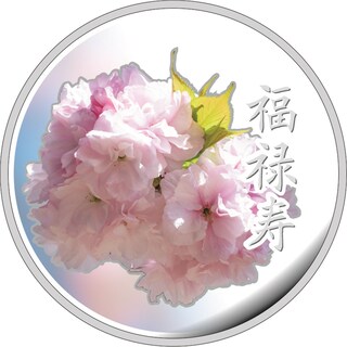 商品詳細 (桜の通り抜け２０２２プルーフ貨幣セット)