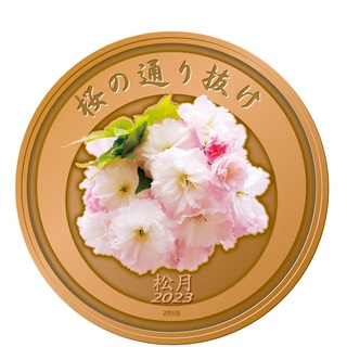 商品詳細 (令和5年桜の通り抜け記念メダル（銅）)